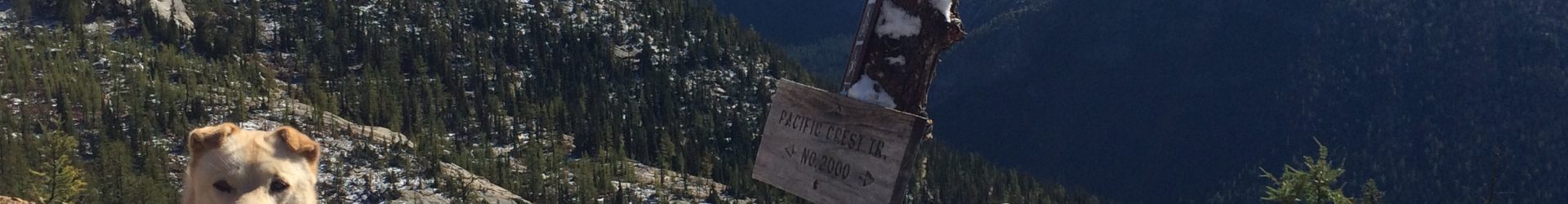 Cutthroat Pass