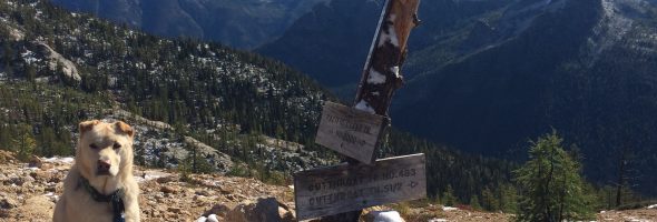 Cutthroat Pass