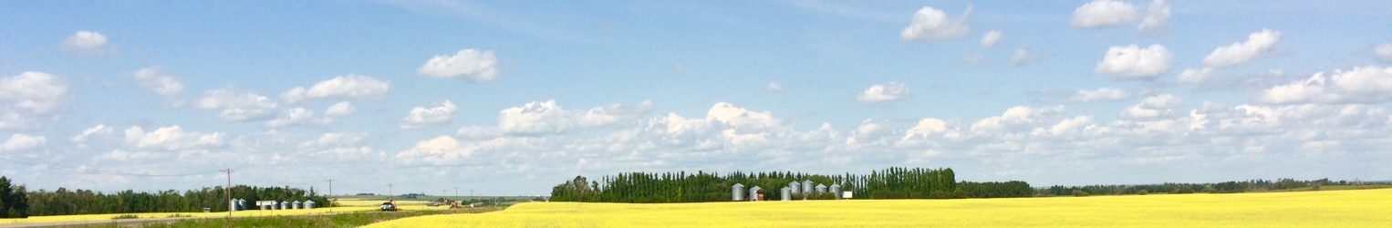 Saskatchewan prairie