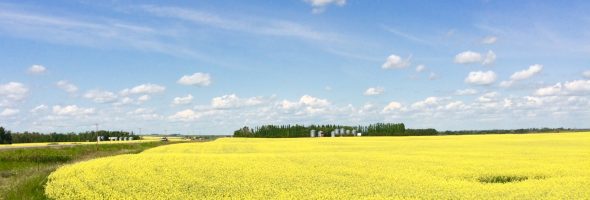 Saskatchewan prairie