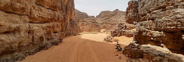 Sahara Desert