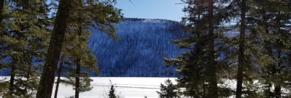 Loon Lake, BC