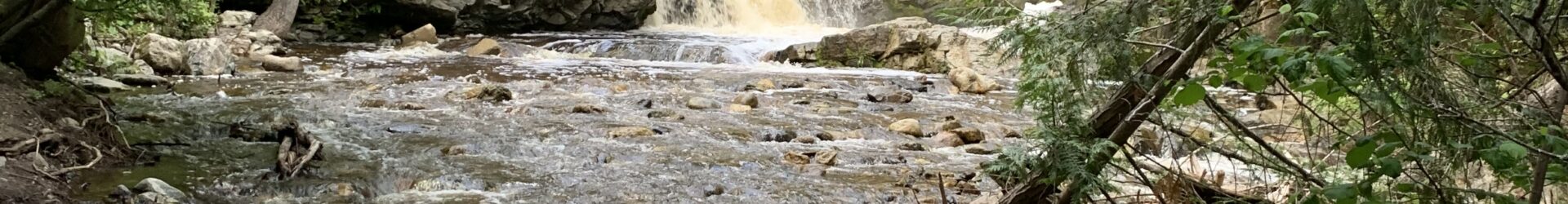 Mill Creek Regional Park