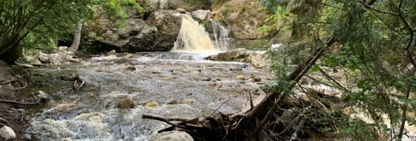 Mill Creek Regional Park