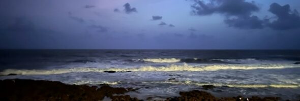 Calangute beach