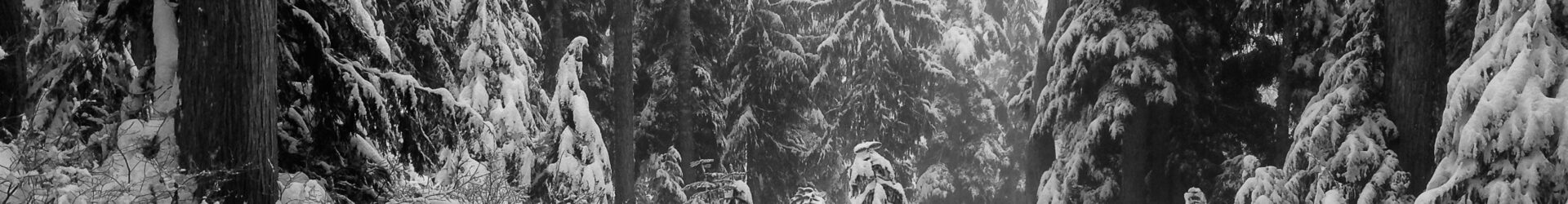 Cypress Mountain