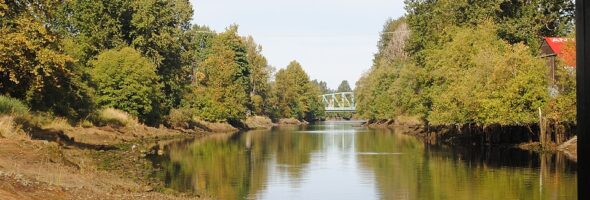 Courtenay River, Courtenay, BC